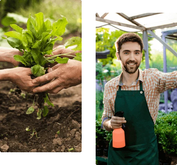 AZERLAND Məhdud Məsuliyyətli Cəmiyyəti 2023-cü ildə təsis olunmuş və fəaliyyətini aqrar sektor — kənd təsərrüfatı sahəsində qurmuş dinamik və inkişaf yönümlü bir şirkətdir.