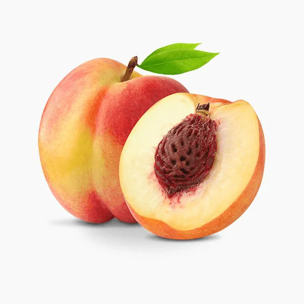 Glasfasermontage & Hausanschlüsse